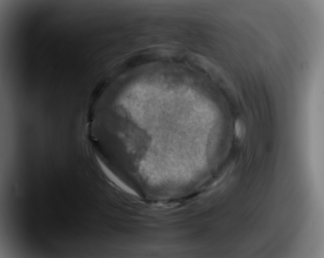 X0000087621203200705181307
