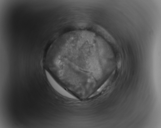 X0000087621204200705181307