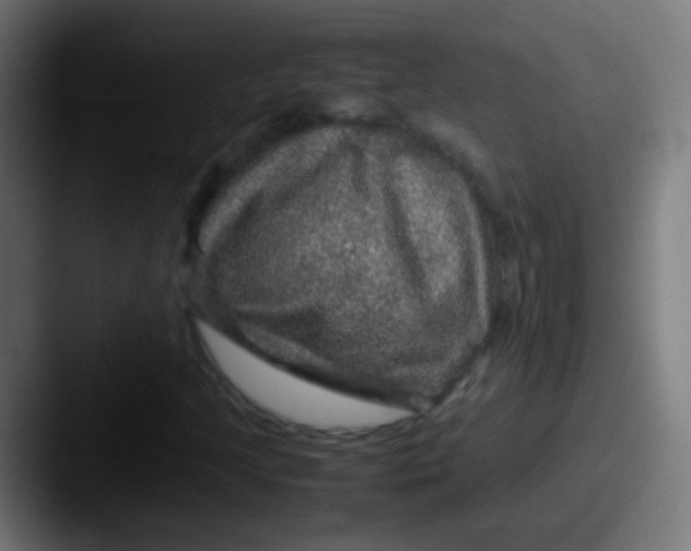X0000087621205200705181307