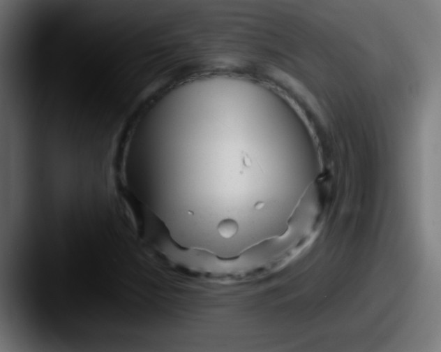 X0000087621210200705181307