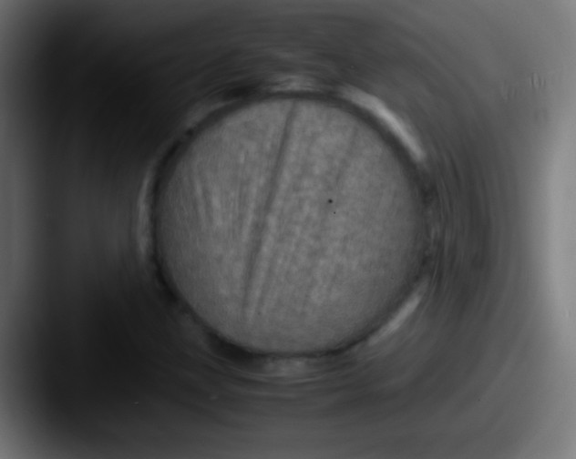 X0000087621211200705181307