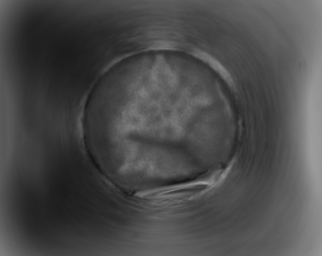 X0000087621212200705181307