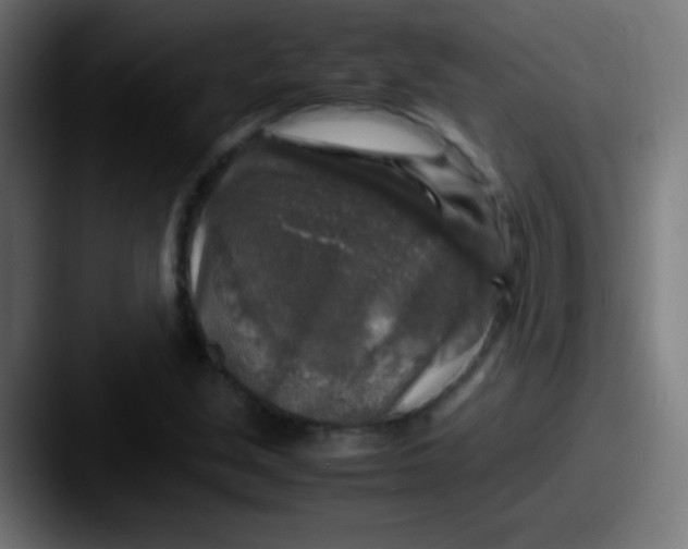 X0000087621213200705181307