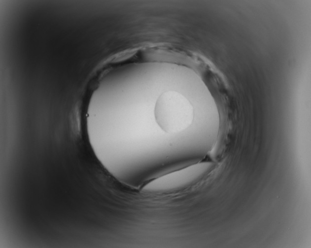 X0000087621214200705181307