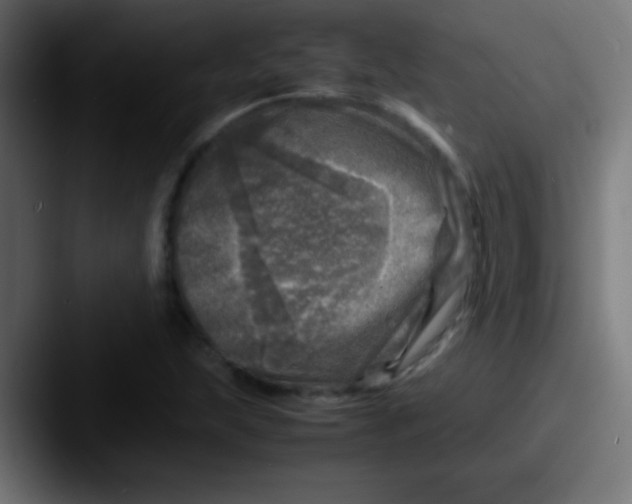 X0000087621215200705181307