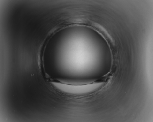 X0000087621218200705181307