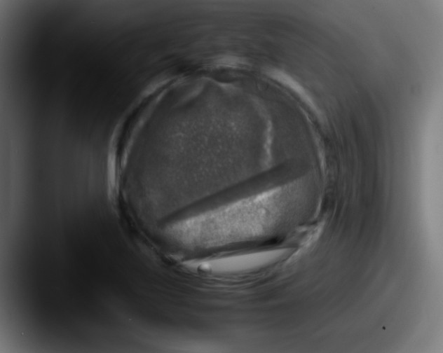 X0000087621219200705181307
