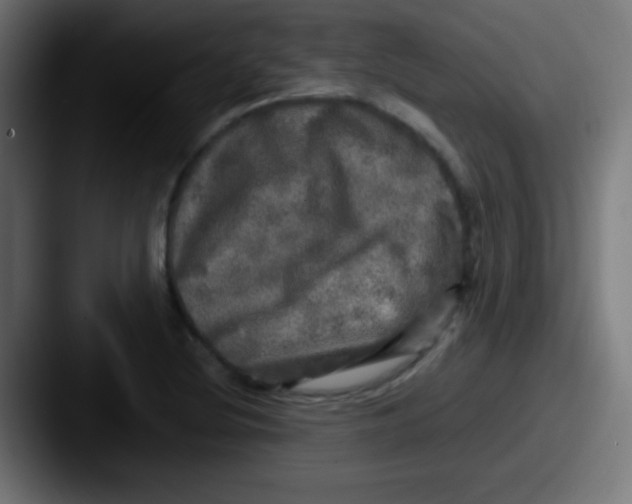 X0000087621220200705181307