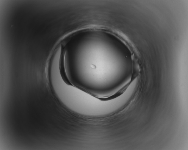X0000087621222200705181307