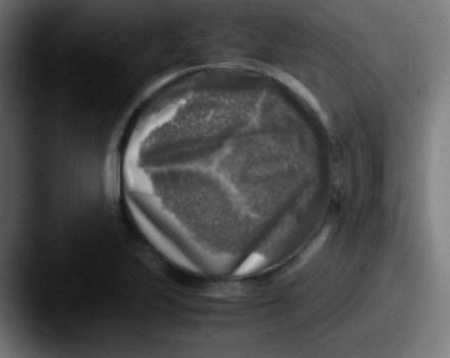 X0000087621223200705181307