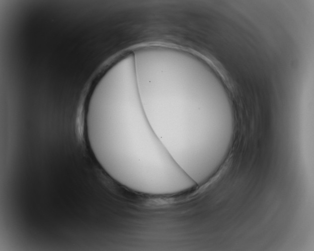 X0000087621224200705181307