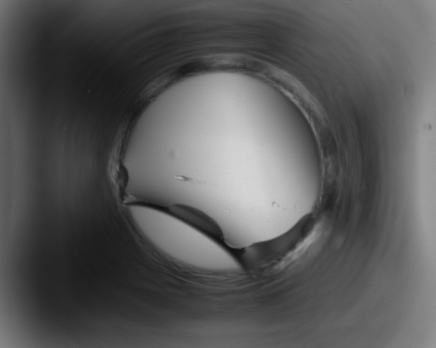 X0000087621225200705181307