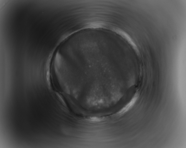 X0000087621226200705181307