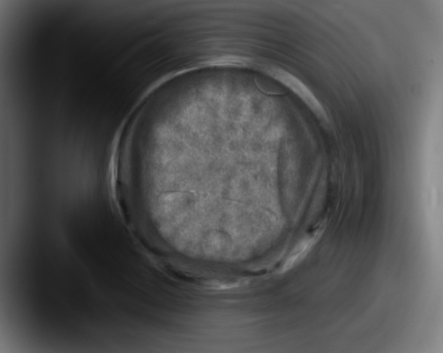 X0000087621228200705181307