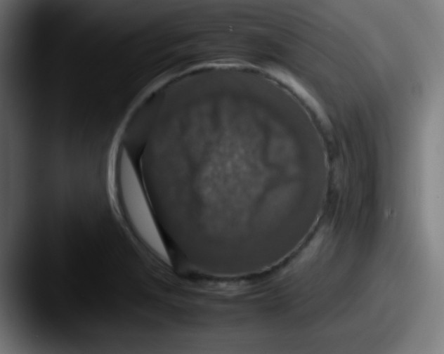 X0000087621229200705181307