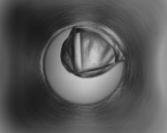 X0000087621230200705181307