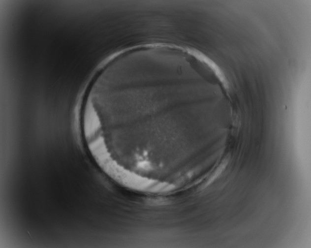 X0000087621231200705181307