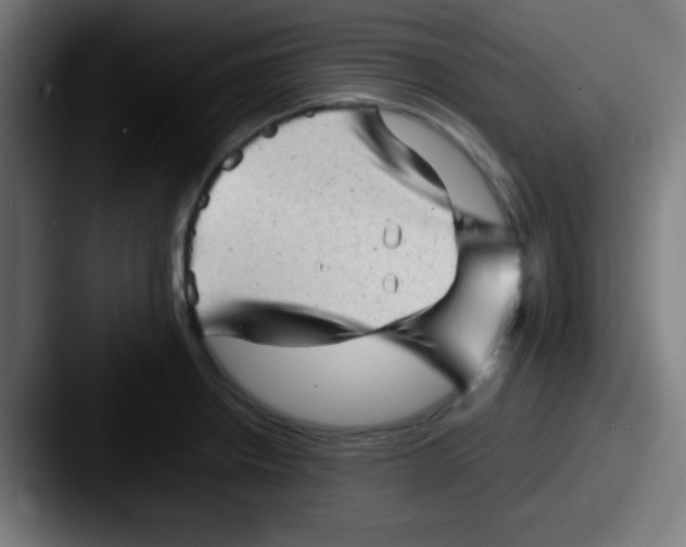 X0000087621234200705181307
