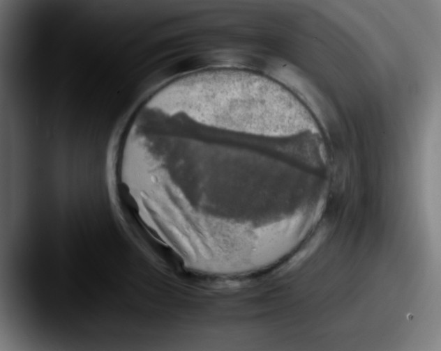 X0000087621235200705181307