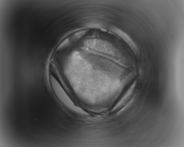 X0000087621236200705181307