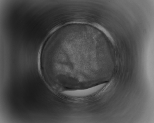 X0000087621237200705181307