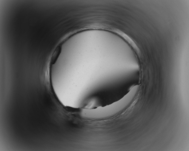 X0000087621238200705181307