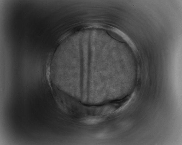 X0000087621241200705181307