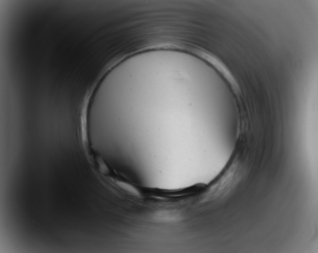 X0000087621242200705181307