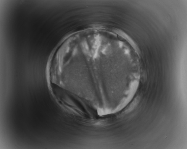 X0000087621243200705181307