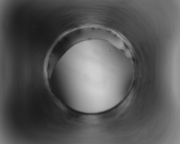 X0000087621246200705181307