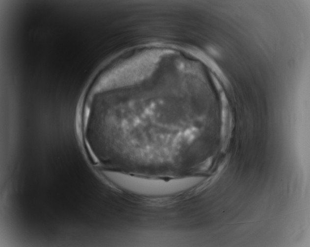 X0000087621247200705181307