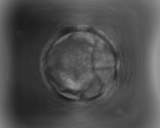 X0000087621249200705181307
