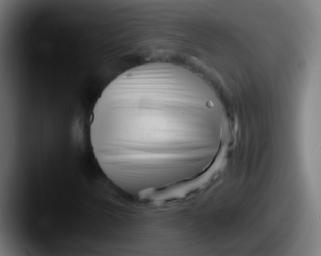 X0000087621250200705181307