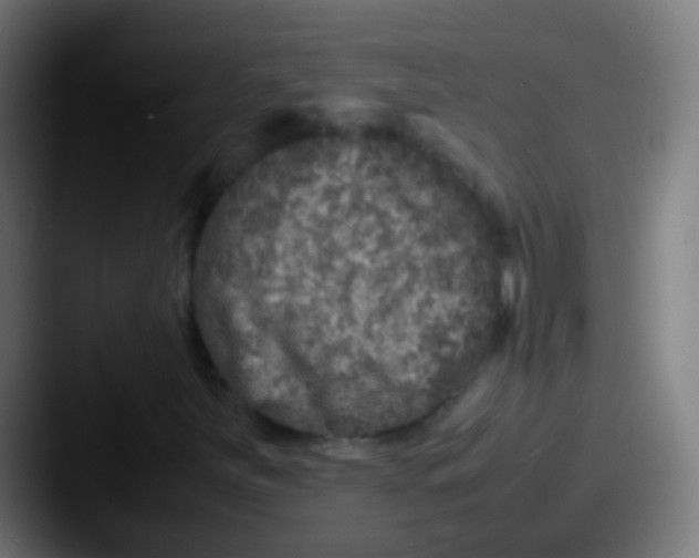 X0000087621251200705181307