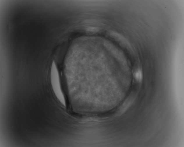 X0000087621252200705181307