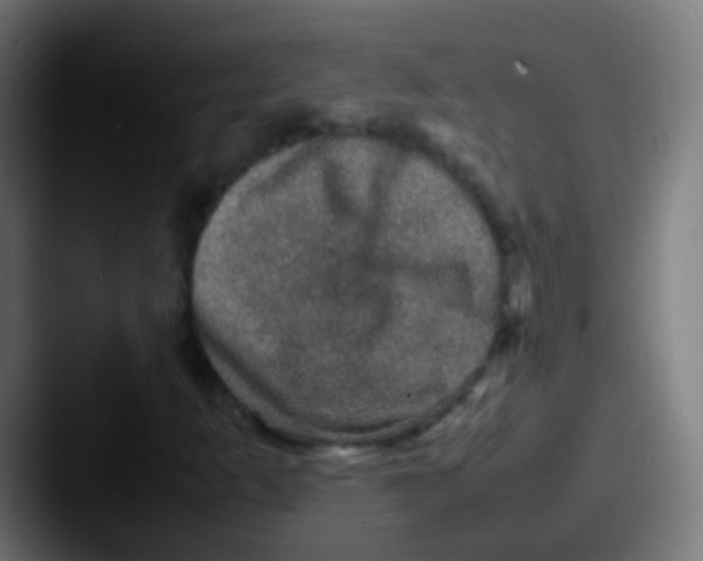 X0000087621253200705181307
