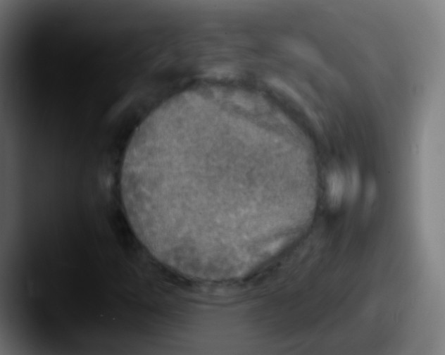 X0000087621254200705181307