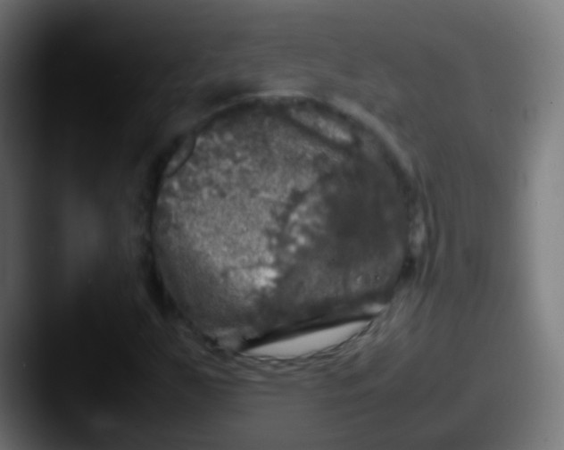X0000087621255200705181307