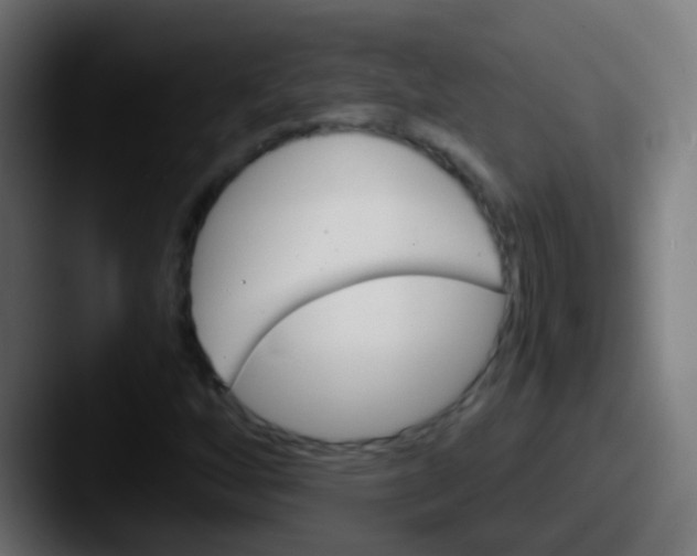 X0000087621256200705181307
