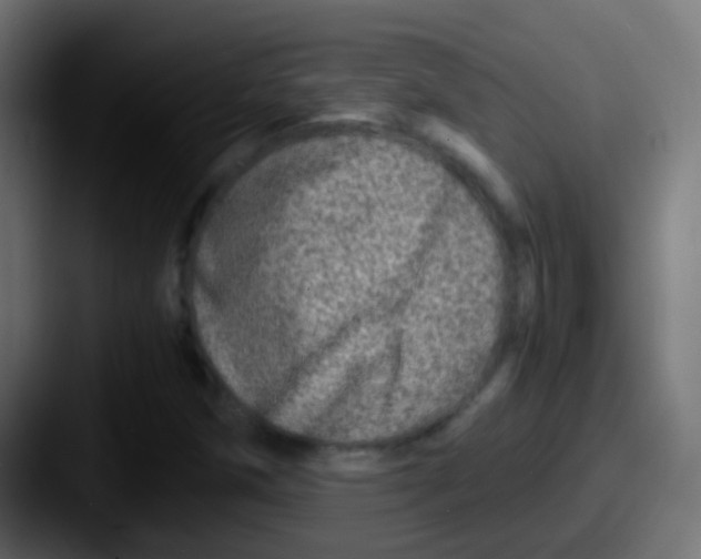 X0000087621258200705181307