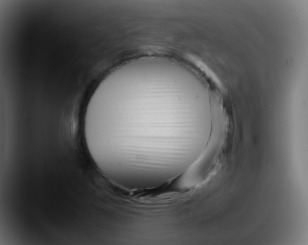 X0000087621261200705181307