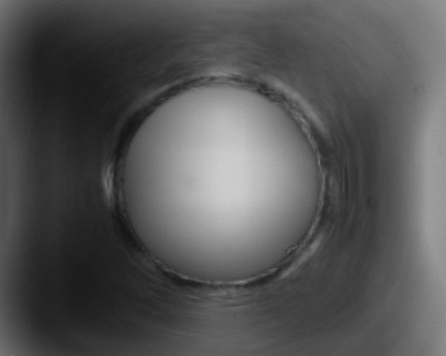 X0000087621262200705181307