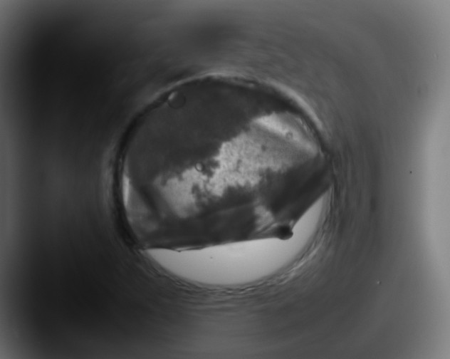 X0000087621263200705181307