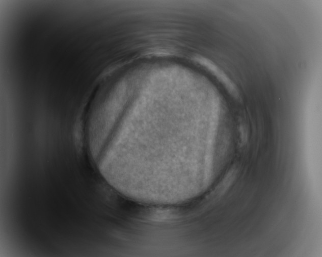 X0000087621266200705181306