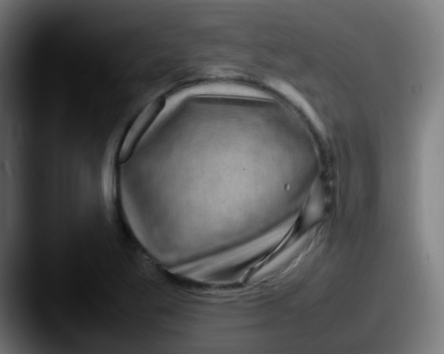 X0000087621269200705181306