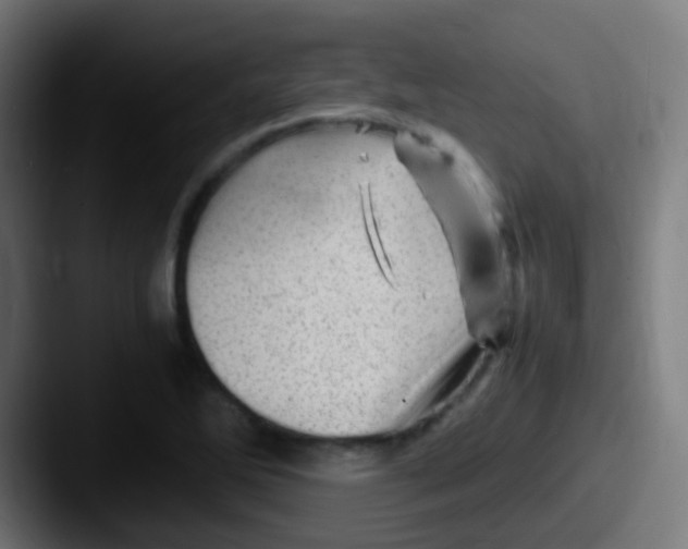 X0000087621270200705181306