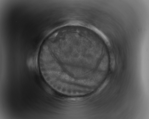 X0000087621272200705181306