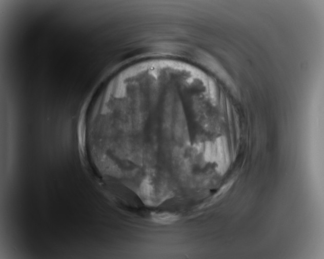 X0000087621275200705181306
