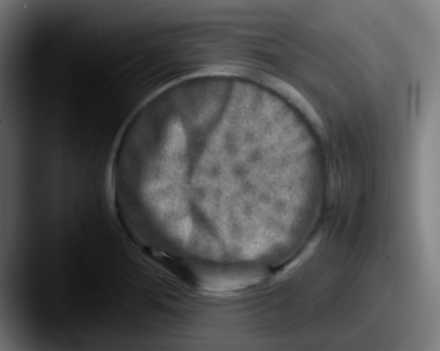 X0000087621276200705181306