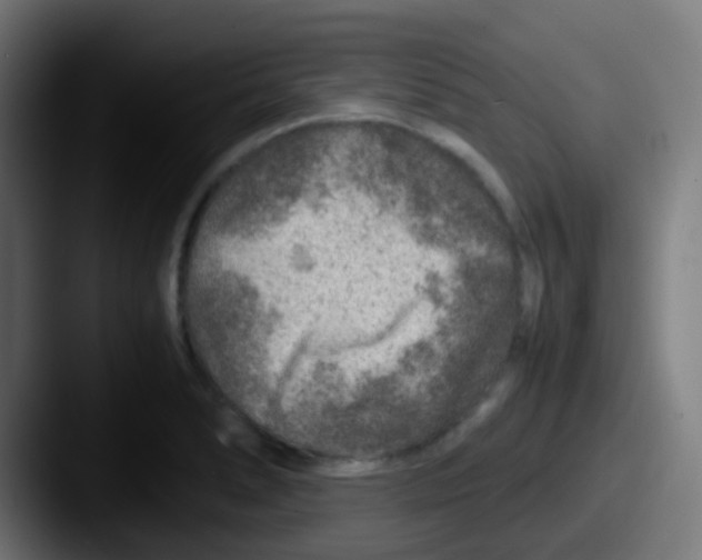 X0000087621278200705181306